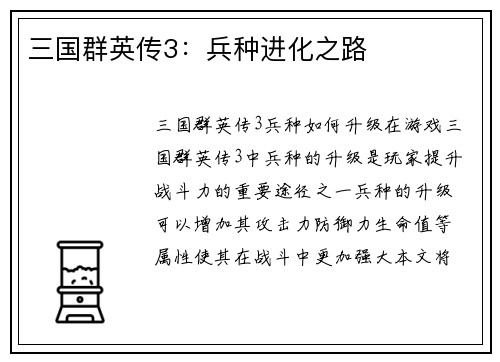 三国群英传3：兵种进化之路